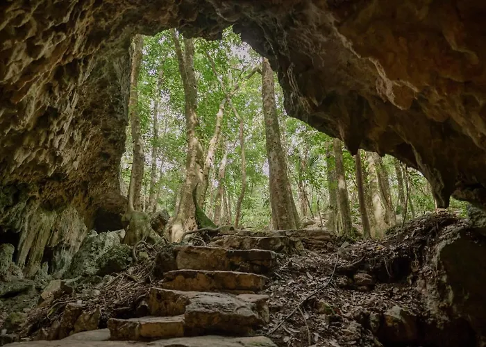 Villa Naum - Secluded With Private Cenote Tulum