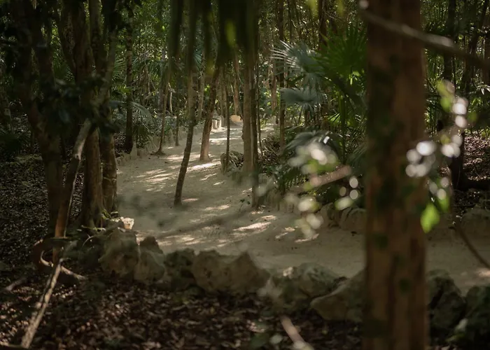 Naum - Secluded With Private Cenote Villa Tulum